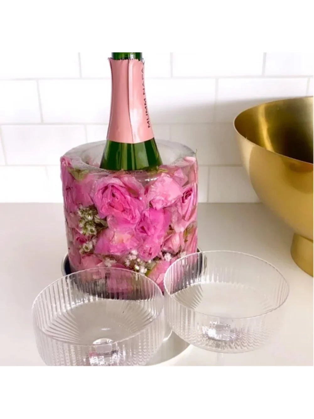 Crate & Barrel Ice Mold Wine Bottle Chiller DIY for Wine Champagne Liquor New